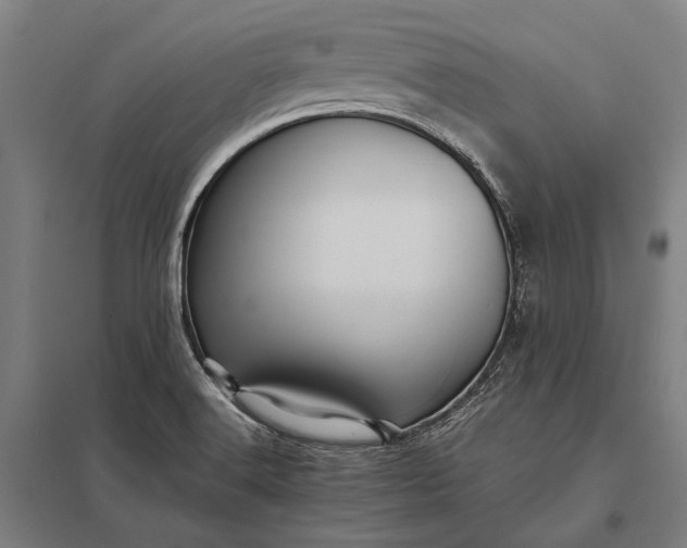 X0000097861516200803281300