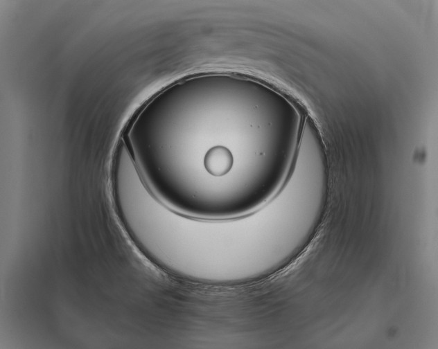 X0000097861517200803281300