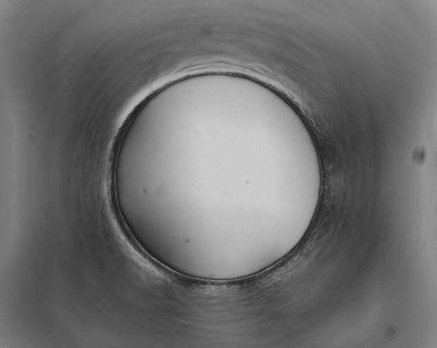 X0000097861518200803281300