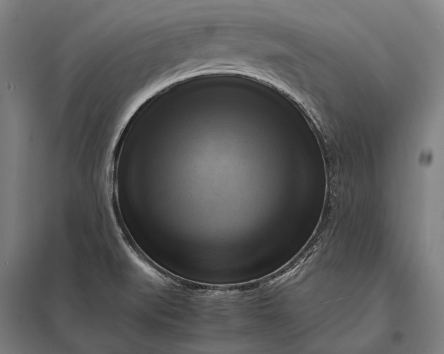 X0000097861519200803281300