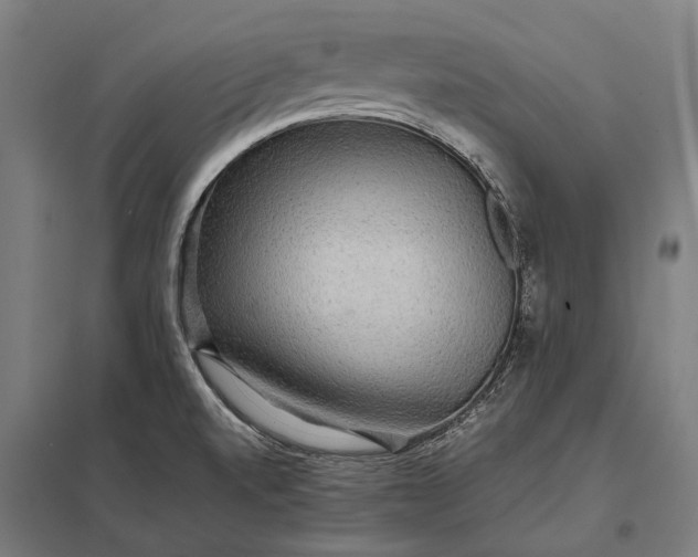 X0000097861520200803281300