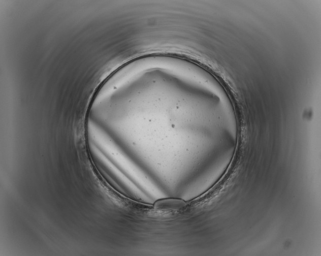 X0000097861521200803281300