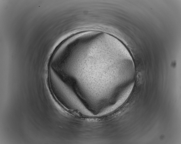 X0000097861523200803281300