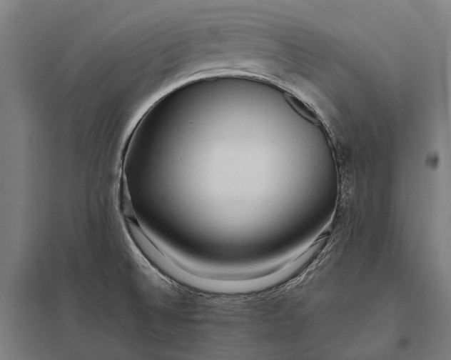 X0000097861524200803281300