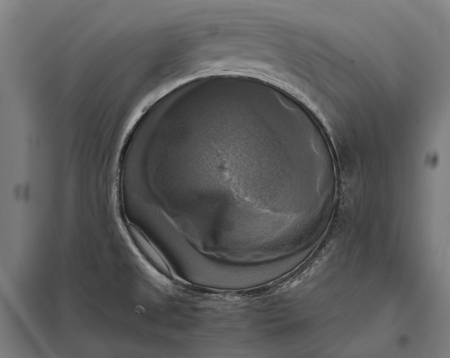 X0000097861525200803281300