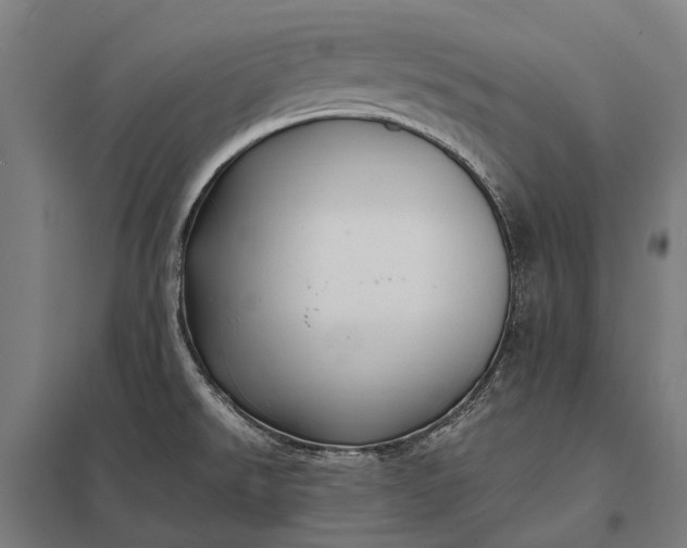 X0000097861526200803281300