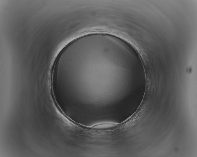 X0000097861527200803281300