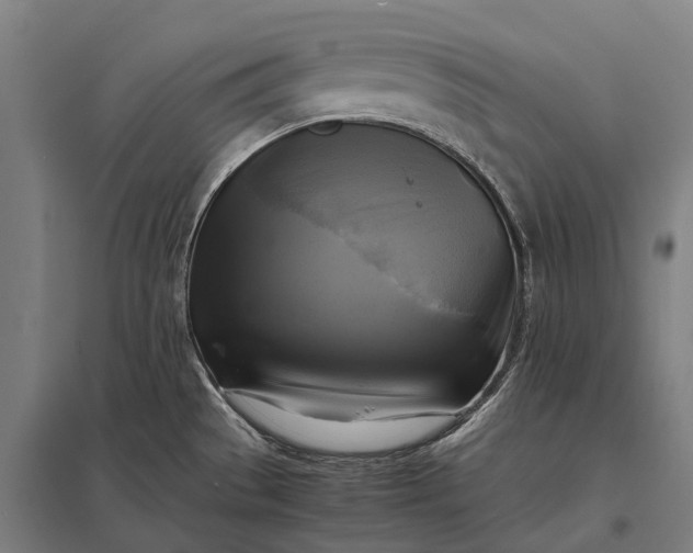 X0000097861529200803281300