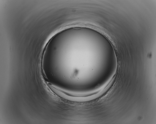 X0000097861530200803281300