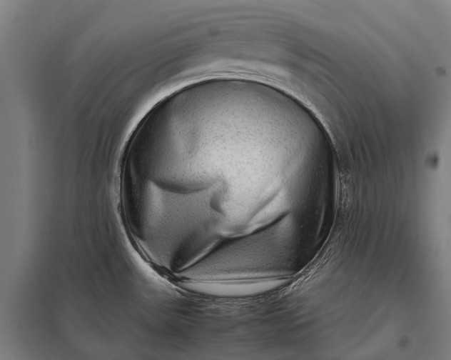 X0000097861531200803281300