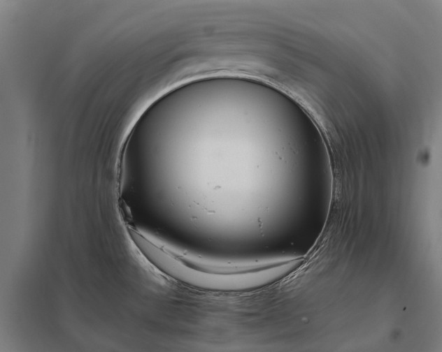 X0000097861532200803281300