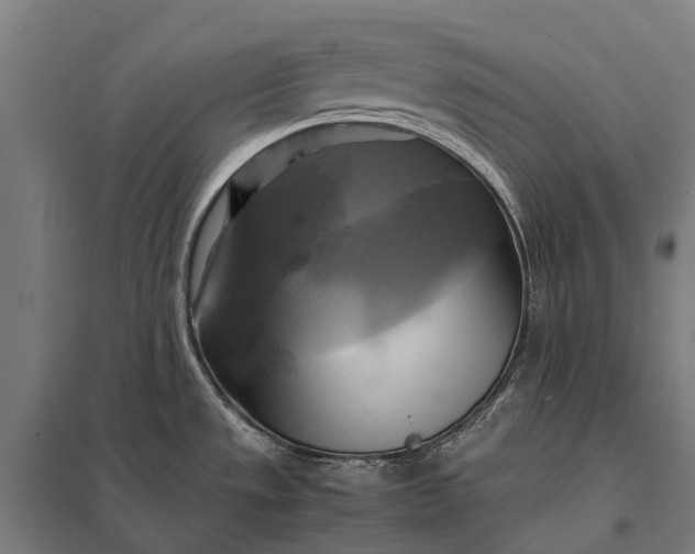 X0000097861533200803281300