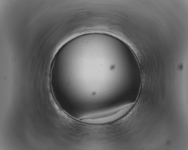 X0000097861534200803281300