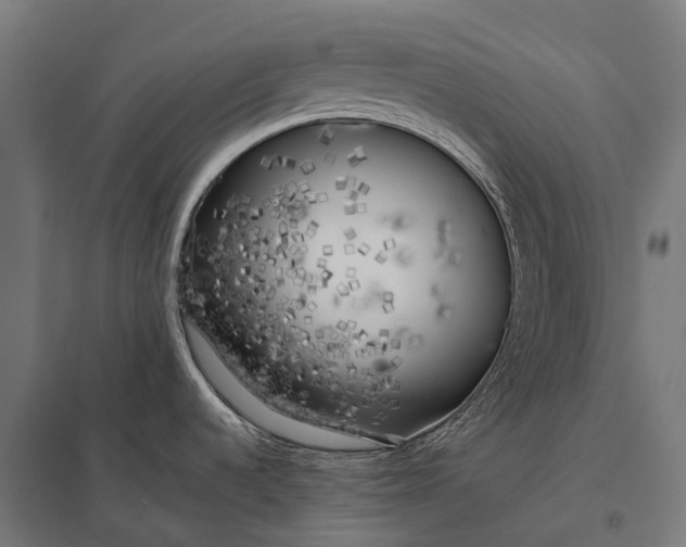 X0000097861536200803281300