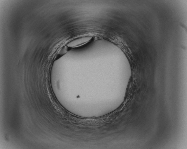 X0000097860001200804041539