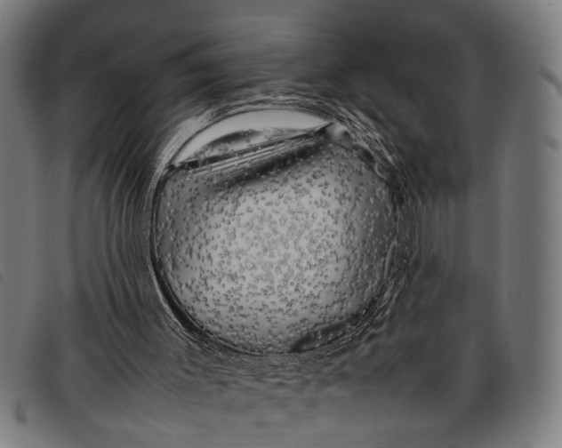 X0000097860003200804041539