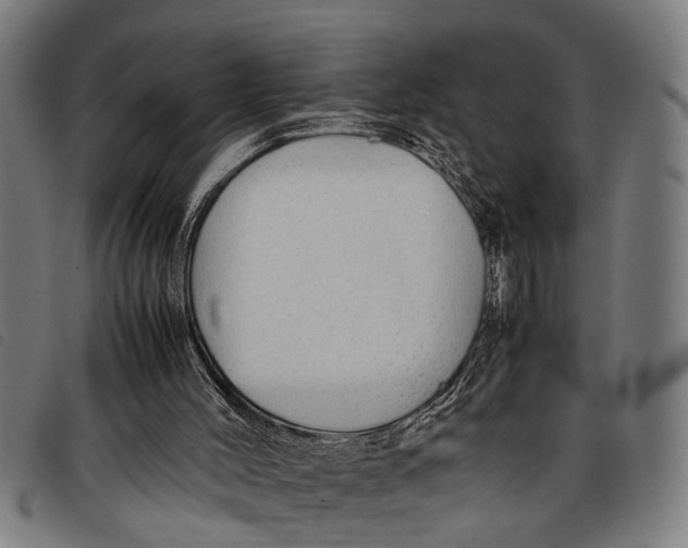 X0000097860004200804041539