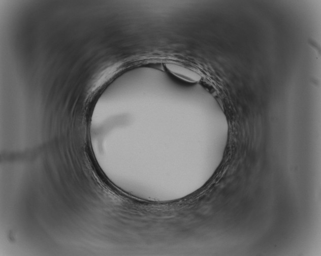 X0000097860005200804041539