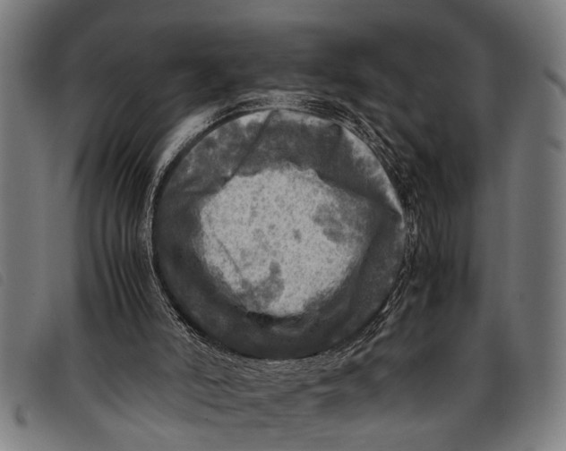 X0000097860006200804041539