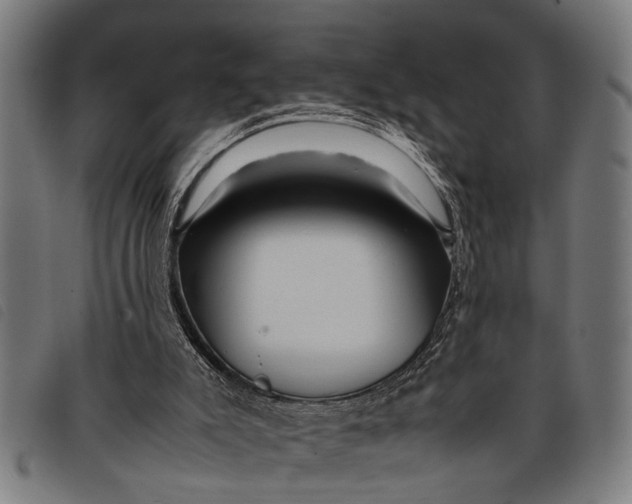 X0000097860007200804041539