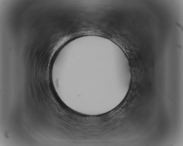 X0000097860008200804041539