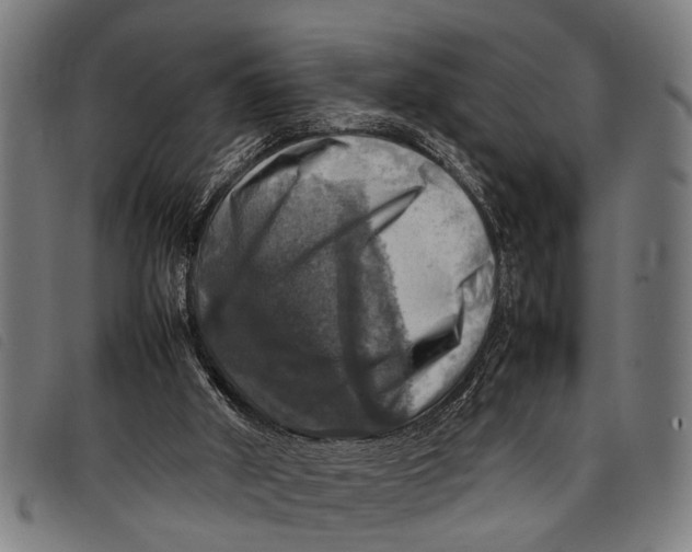 X0000097860010200804041538