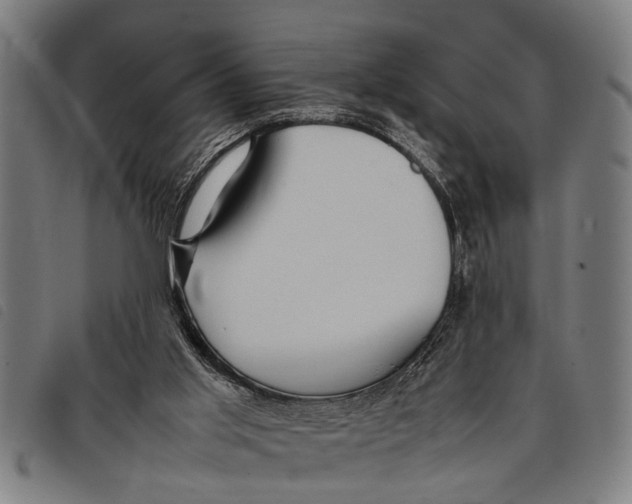 X0000097860013200804041538