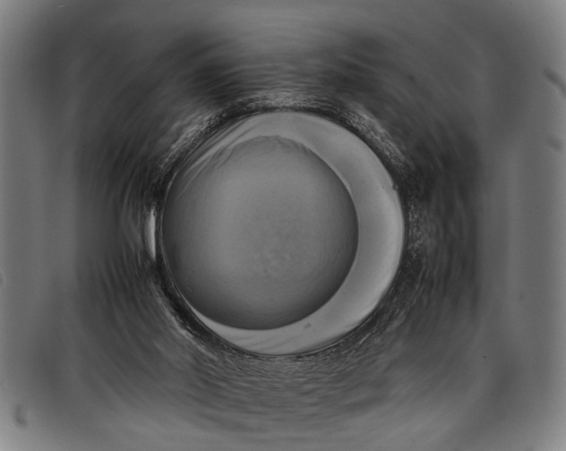 X0000097860014200804041538