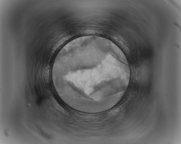 X0000097860016200804041538