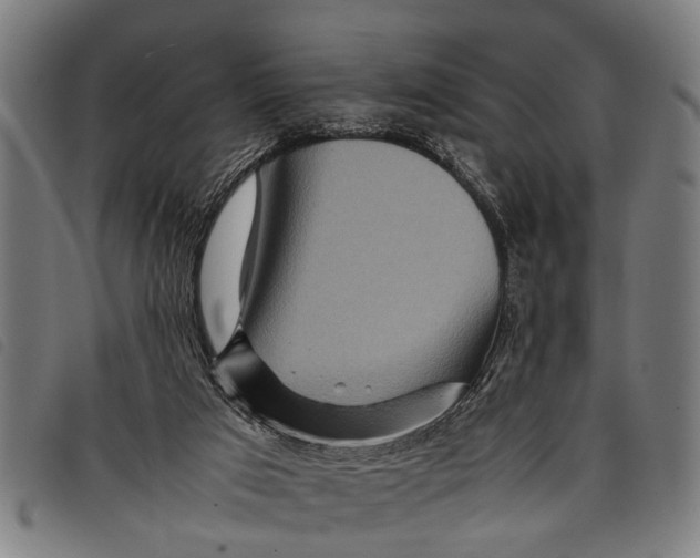 X0000097860017200804041538