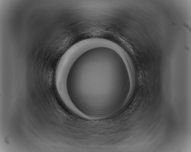 X0000097860018200804041538