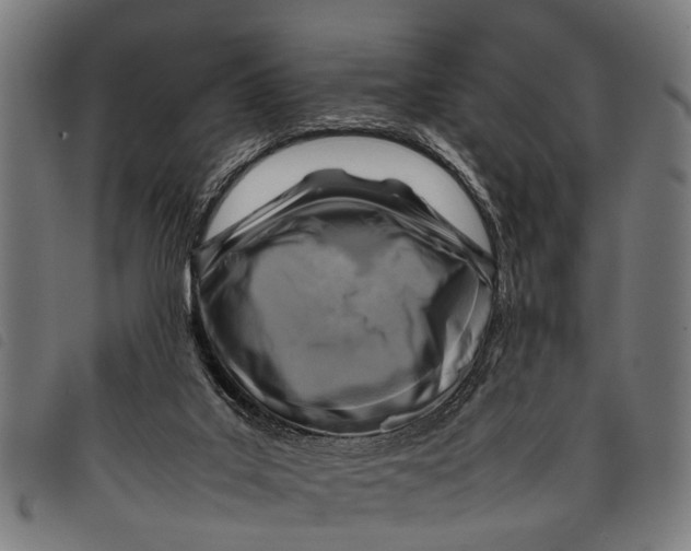 X0000097860019200804041538