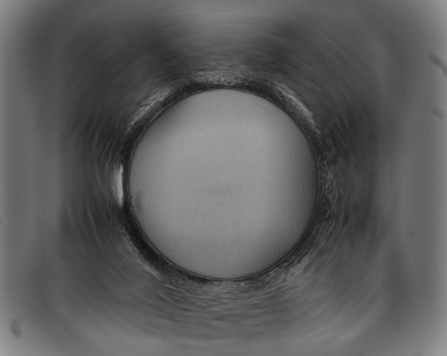 X0000097860020200804041538