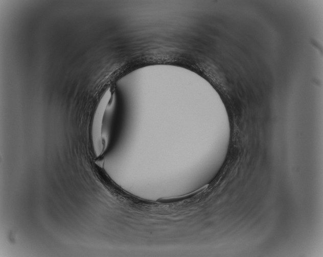 X0000097860021200804041538