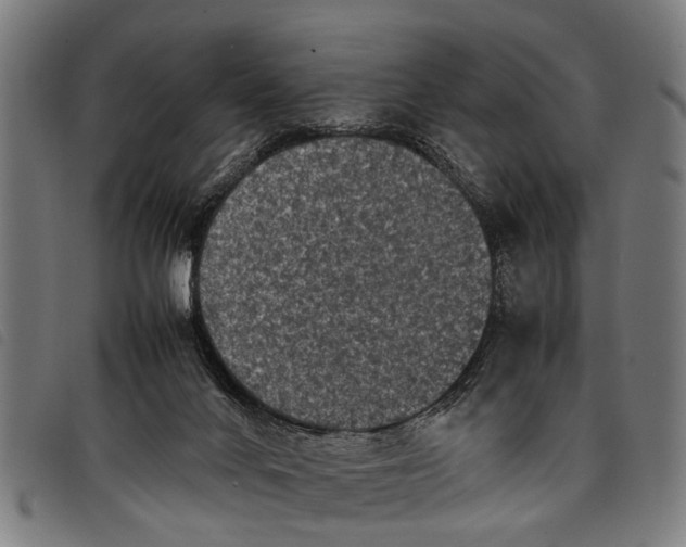 X0000097860024200804041538