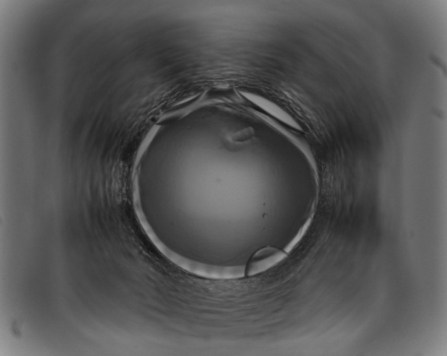 X0000097860030200804041538