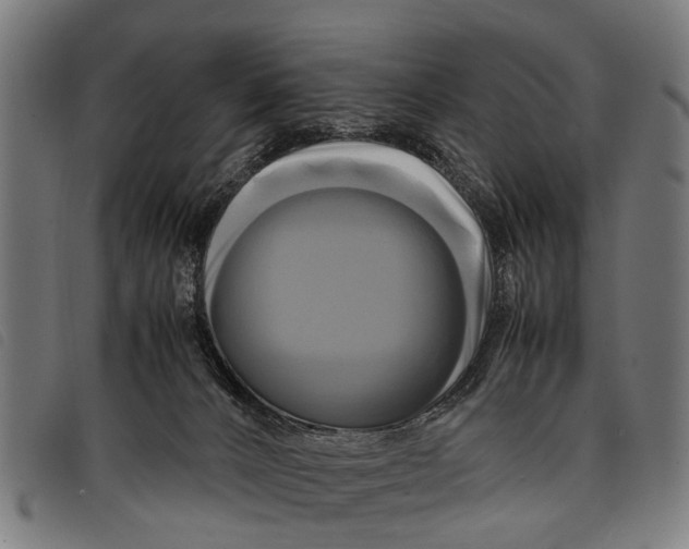 X0000097860032200804041538