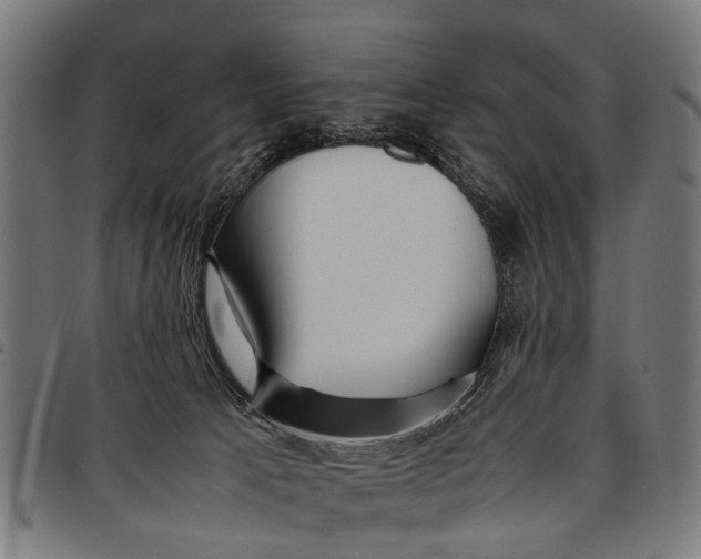 X0000097860033200804041538