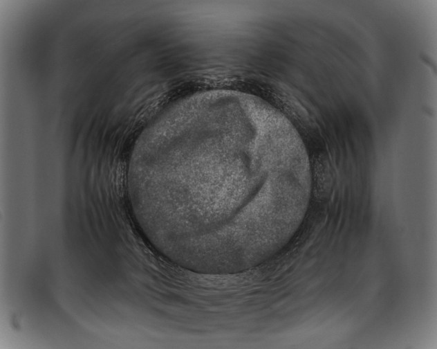 X0000097860034200804041538