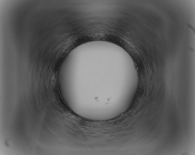 X0000097860037200804041538