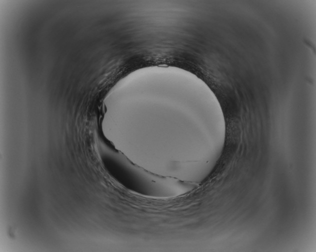 X0000097860039200804041538