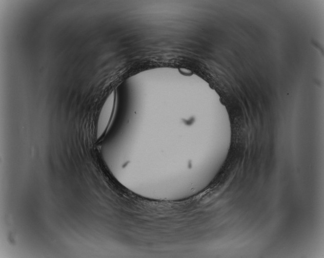 X0000097860040200804041538