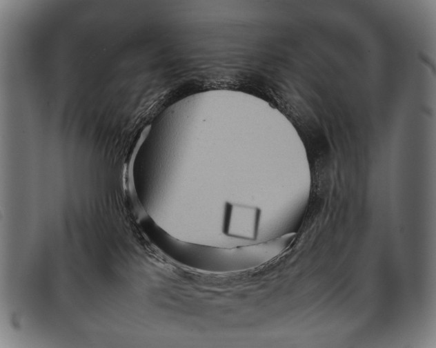 X0000097860041200804041538