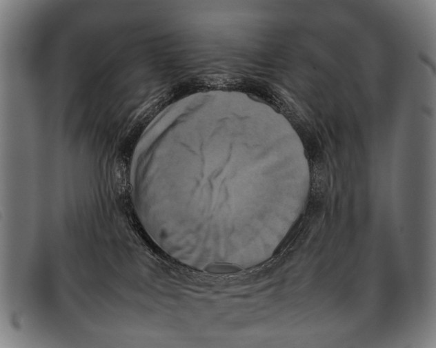 X0000097860043200804041538