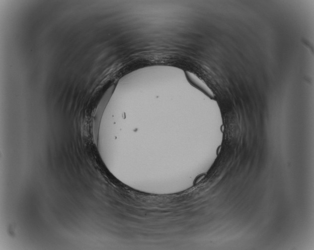 X0000097860044200804041538