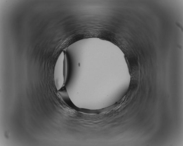 X0000097860045200804041538