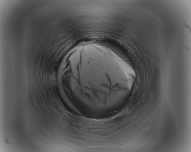 X0000097860048200804041538