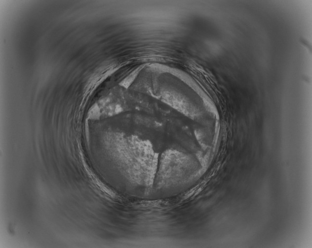 X0000097860049200804041537