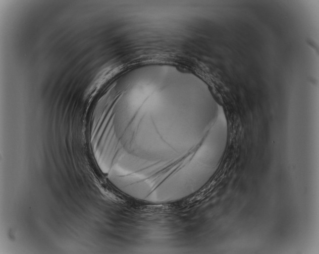 X0000097860050200804041537