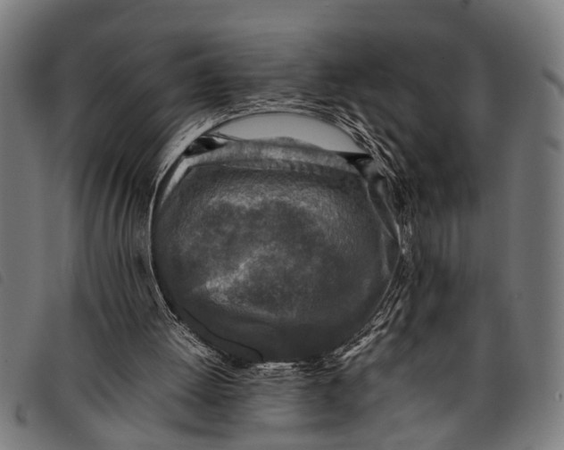 X0000097860052200804041537